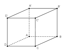 Giải bài 58 trang 119 sách bài tập toán 11 - Cánh diều 2
