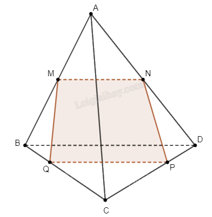 Giải bài 59 trang 118 sách bài tập toán 11 - Cánh diều 2