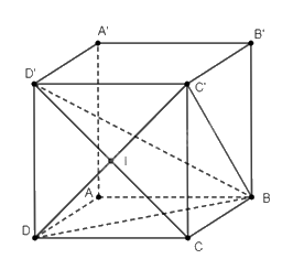 Giải bài 59 trang 119 sách bài tập toán 11 - Cánh diều 2
