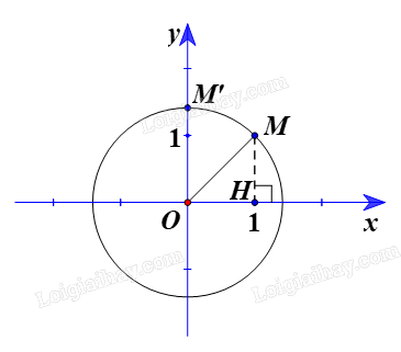 Giải bài 6 trang 41 Chuyên đề học tập Toán 11 Chân trời sáng tạo 2