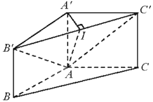 Giải bài 6 trang 76 sách bài tập toán 11 - Chân trời sáng tạo tập 2 2