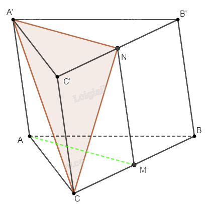 Giải bài 60 trang 118 sách bài tập toán 11 - Cánh diều 2