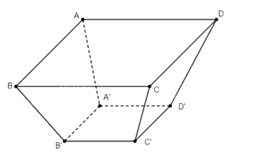 Giải bài 61 trang 119 sách bài tập toán 11 - Cánh diều 3