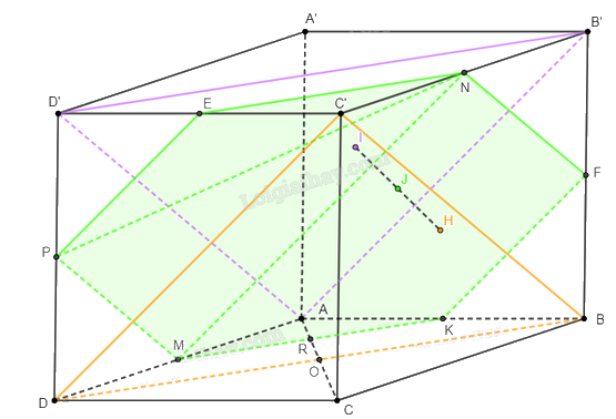 Giải bài 62 trang 118, 119 sách bài tập toán 11 - Cánh diều 2