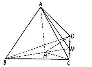 Giải bài 7.19 trang 34 sách bài tập toán 11 - Kết nối tri thức với cuộc sống 2