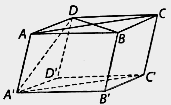 Giải bài 7.2 trang 26 sách bài tập toán 11 - Kết nối tri thức với cuộc sống 3