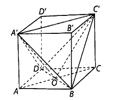 Giải bài 7.23 trang 34 sách bài tập toán 11 - Kết nối tri thức với cuộc sống 2