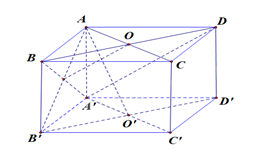 Giải bài 7.27 trang 37 sách bài tập toán 11 - Kết nối tri thức với cuộc sống 2