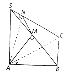 Giải bài 7.38 trang 41 sách bài tập toán 11 - Kết nối tri thức với cuộc sống 3
