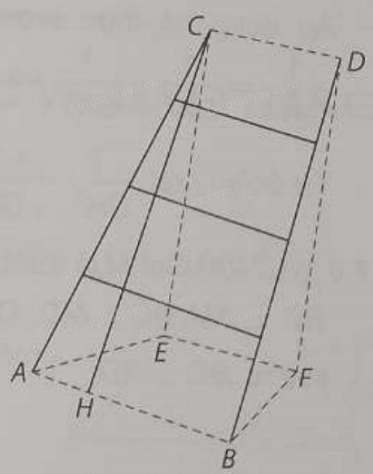 Giải bài 7.5 trang 26 sách bài tập toán 11 - Kết nối tri thức với cuộc sống 3