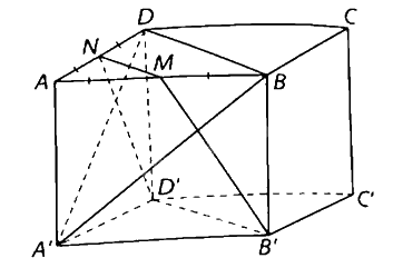 Giải bài 7.55 trang 43 sách bài tập toán 11 - Kết nối tri thức với cuộc sống 2