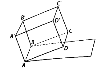 Giải bài 7.56 trang 43 sách bài tập toán 11 - Kết nối tri thức với cuộc sống 1