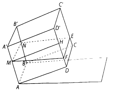 Giải bài 7.56 trang 43 sách bài tập toán 11 - Kết nối tri thức với cuộc sống 4