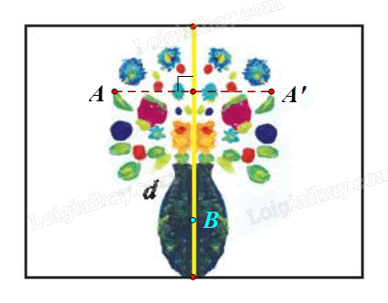 Giải bài 7 trang 19 Chuyên đề học tập Toán 11 Chân trời sáng tạo 3