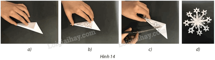 Giải bài 7 trang 25 Chuyên đề học tập Toán 11 Chân trời sáng tạo 1