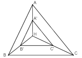 Giải bài 7 trang 33 Chuyên đề học tập Toán 11 Cánh diều 2