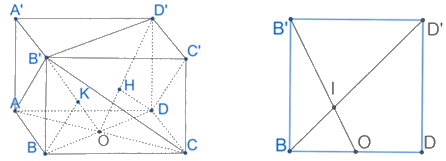 Giải bài 7 trang 76 sách bài tập toán 11 - Chân trời sáng tạo tập 2 2