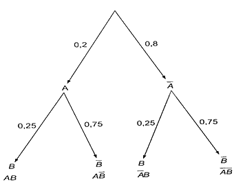 Giải bài 8.14 trang 51 sách bài tập toán 11 - Kết nối tri thức với cuộc sống 2
