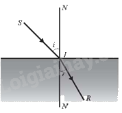 Giải bài 8 trang 31 sách bài tập toán 11 - Chân trời sáng tạo tập 1 1