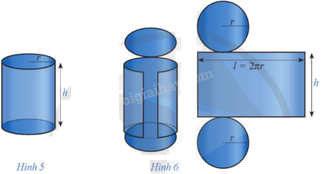 Giải bài 8 trang 37 Chuyên đề học tập Toán 12 - Cánh diều 1
