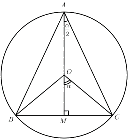 Giải bài 9 trang 18 sách bài tập toán 12 - Chân trời sáng tạo 2