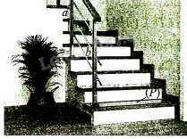 Giải bài 9 trang 94 sách bài tập toán 11 - Cánh diều 1