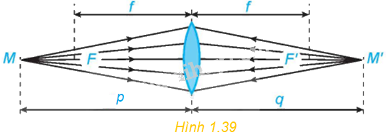 Giải bài tập 1.44 trang 44 SGK Toán 12 tập 1 - Kết nối tri thức 1