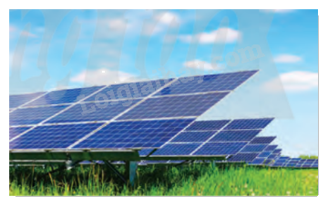 Giải bài tập 11 trang 60 SGK Toán 12 tập 2 - Chân trời sáng tạo 1