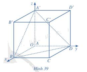 Giải bài tập 13 trang 83 SGK Toán 12 tập 1 - Cánh diều 1