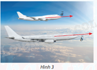 Giải bài tập 15 trang 65 SGK Toán 12 tập 1 - Chân trời sáng tạo 1