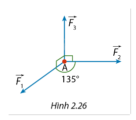 Giải bài tập 2.11 trang 65 SGK Toán 12 tập 1 - Cùng khám phá 1