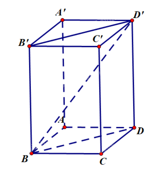Giải bài tập 2.2 trang 58 SGK Toán 12 tập 1 - Kết nối tri thức 2