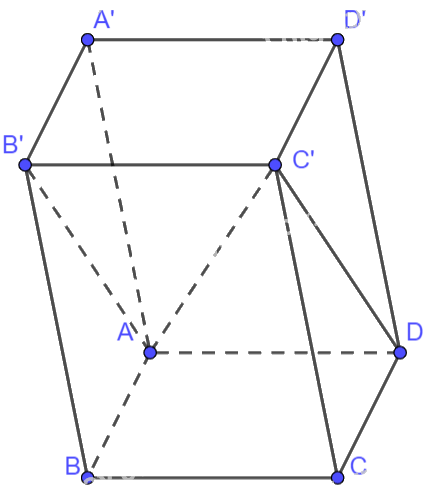 Giải bài tập 2.27 trang 73 SGK Toán 12 tập 1 - Kết nối tri thức 2