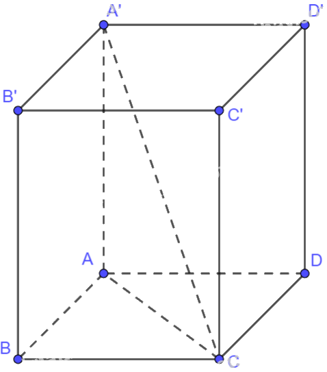 Giải bài tập 2.4 trang 58 SGK Toán 12 tập 1 - Kết nối tri thức 2
