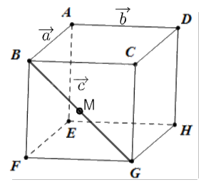 Giải bài tập 2.4 trang 64 SGK Toán 12 tập 1 - Cùng khám phá 2