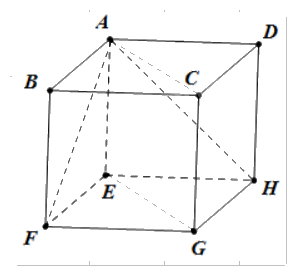 Giải bài tập 2.7 trang 65 SGK Toán 12 tập 1 - Cùng khám phá 2