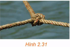 Giải bài tập 2.9 trang 59 SGK Toán 12 tập 1 - Kết nối tri thức 1