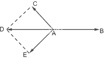 Giải bài tập 2.9 trang 59 SGK Toán 12 tập 1 - Kết nối tri thức 4