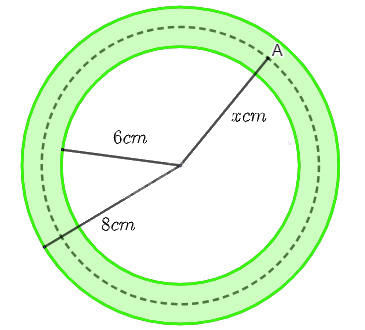 Giải bài tập 5 trang 20 SGK Toán 12 tập 2 - Chân trời sáng tạo 1
