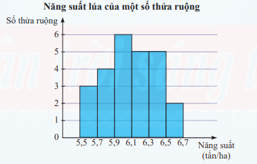 Giải bài tập 5 trang 85 SGK Toán 12 tập 1 - Chân trời sáng tạo 1