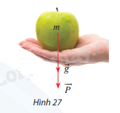 Giải bài tập 6 trang 51 SGK Toán 12 tập 1 - Chân trời sáng tạo 1