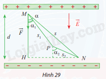 Giải bài tập 8 trang 51 SGK Toán 12 tập 1 - Chân trời sáng tạo 1