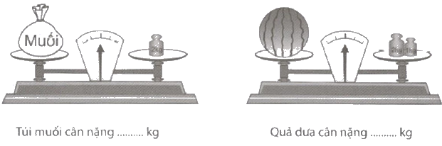 Giải Cùng em học Toán lớp 2 tập 1 - trang 24, 25 - Tuần 7 - Tiết 1 0 1
