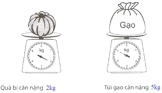 Giải Cùng em học Toán lớp 2 tập 1 - trang 25, 26 - Tuần 7 - Tiết 2 0 2