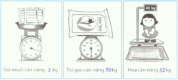 Giải Cùng em học Toán lớp 2 tập 1 - trang 57, 58, 59, 60 - Tuần 17 - Tiết 2 2 3