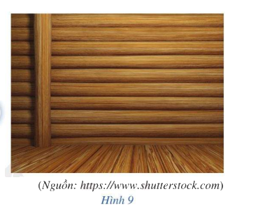 Giải hoạt động mở đầu trang 80 SGK Toán 11 tập 2 – Cánh Diều 1