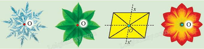 Giải khởi động trang 20 Chuyên đề học tập Toán 11 - Chân trời sáng tạo 3