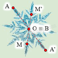 Giải khởi động trang 20 Chuyên đề học tập Toán 11 - Chân trời sáng tạo 4