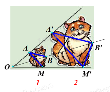 Giải khởi động trang 30 Chuyên đề học tập Toán 11 - Chân trời sáng tạo 3
