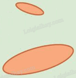 Giải khởi động trang 37 Chuyên đề học tập Toán 11 - Chân trời sáng tạo 6